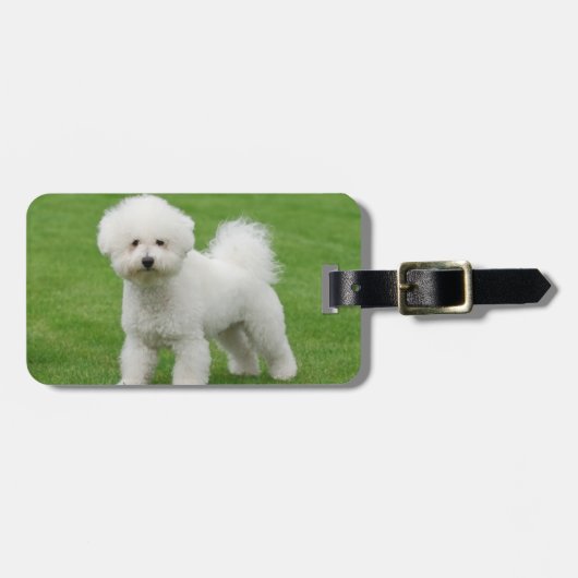 Bichon Frise Bagagelabel (Voorkant horizontaal)