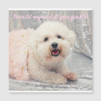Bichon Frise Ballerina Kerstmis Positieve vibes