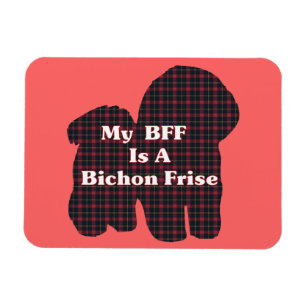 Bichon Frise BFF Magneet
