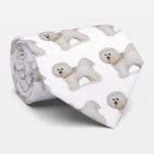 bichon_frise, Bichon Frise stropdas (Opgerold)