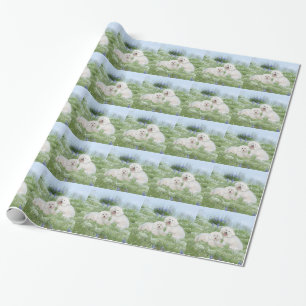 Bichon Frise Blauwe Korenbloemen Cadeaupapier