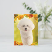 Bichon Frise Briefkaart (Staand voorkant)