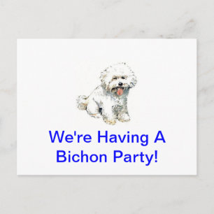 Bichon Frise Briefkaart