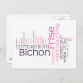 Bichon Frise Briefkaart (Voorkant / Achterkant)