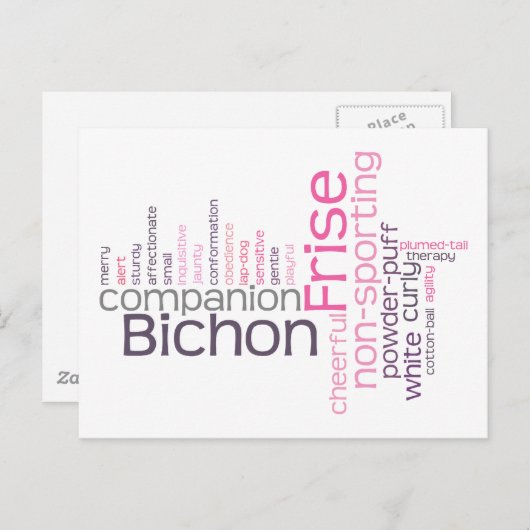 Bichon Frise Briefkaart (Voorkant / Achterkant)