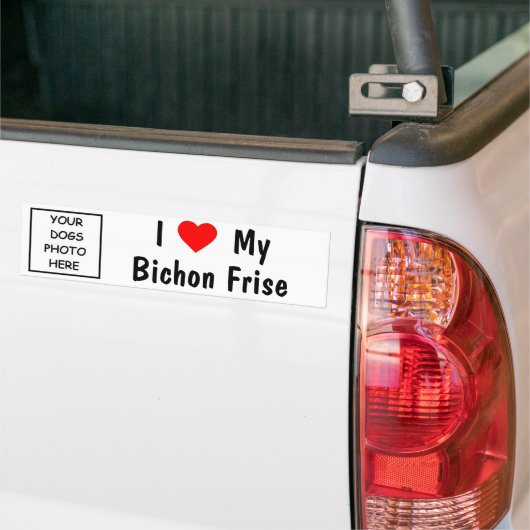Bichon Frise Bumpersticker (Op Truck)