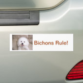 Bichon Frise Bumpersticker (Op auto)
