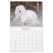 Bichon Frisé Calendar Kalender (Feb 2027)