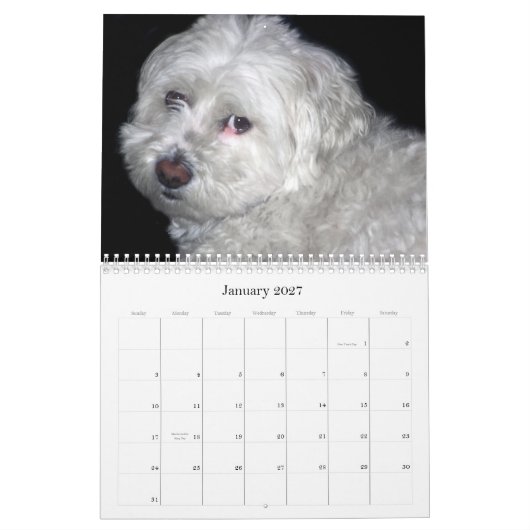 Bichon Frisé Calendar Kalender (Jan 2027)