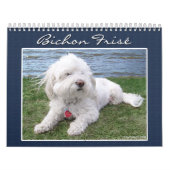 Bichon Frisé Calendar Kalender (Hoes)