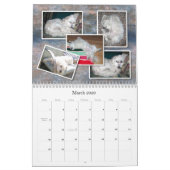 Bichon Frisé Calendar Kalender (Mar 2026)