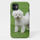 Bichon Frise Case-Mate iPhone Case (Achterkant)