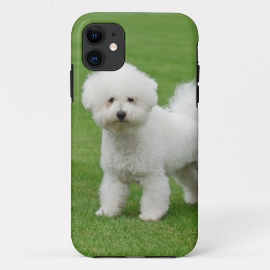 Bichon Frise Case-Mate iPhone Case (Achterkant)