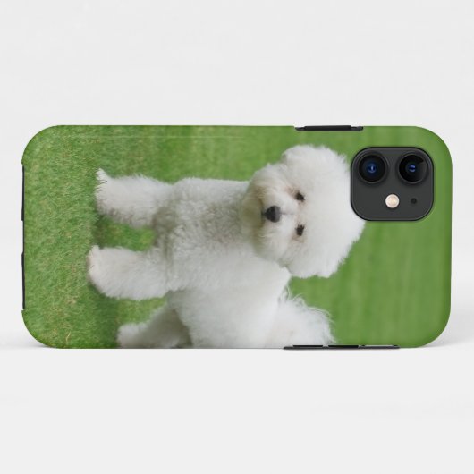 Bichon Frise Case-Mate iPhone Case (Achterkant (horizontaal))