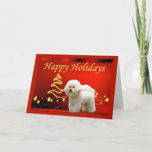Bichon Frise Christmas Kaart Stars