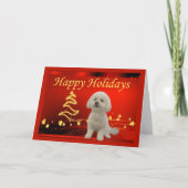 Bichon Frise Christmas Kaart Stars (Voorkant)