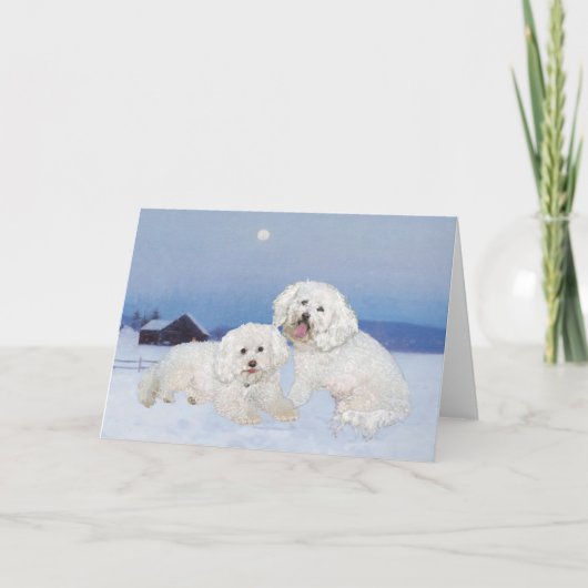 Bichon Frise Decemberavond Feestdagen Kaart (Voorkant)