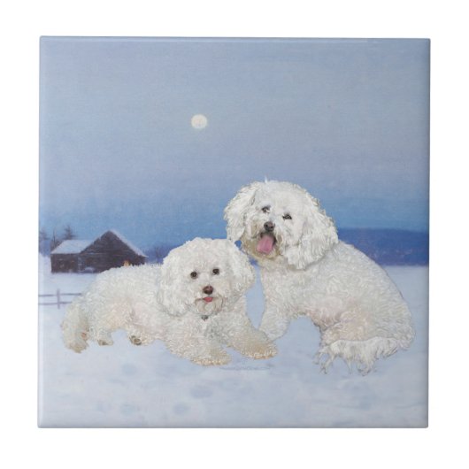 Bichon Frise Decemberavond Tegeltje (Voorkant)