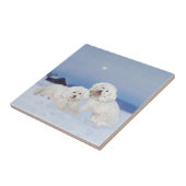 Bichon Frise Decemberavond Tegeltje (Zijkant)