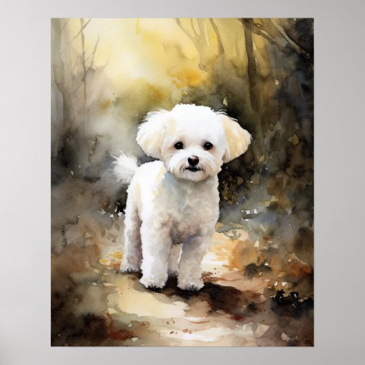 Bichon Frise Dog Art Print Poster (Voorkant)