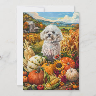 Bichon Frise Dog Autumn Harvest Thanksgiving Feestdagenkaart