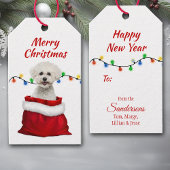 Bichon Frise Dog in Santa Bag Cadeaulabel