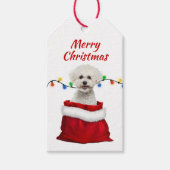 Bichon Frise Dog in Santa Bag Cadeaulabel (Voorkant)