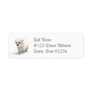Bichon Frise Dog-logo Etiket