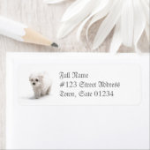 Bichon Frise Dog Mailing Label (Insitu)