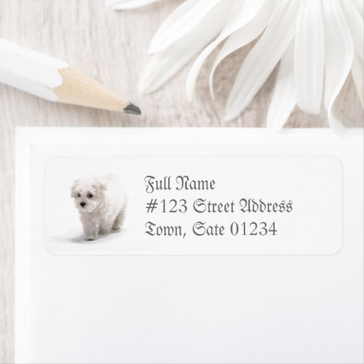 Bichon Frise Dog Mailing Label (Insitu)