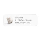 Bichon Frise Dog Mailing Label (Voorkant)