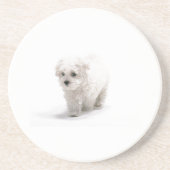 Bichon Frise Dog Onderzetter (Voorkant)