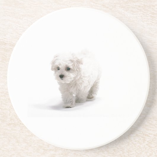Bichon Frise Dog Onderzetter (Voorkant)