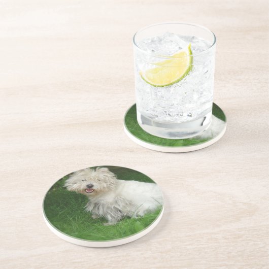 Bichon Frise Dog Onderzetters (Zijkant)