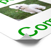 Bichon Frise Dog Open Sign Poster (Hoek)