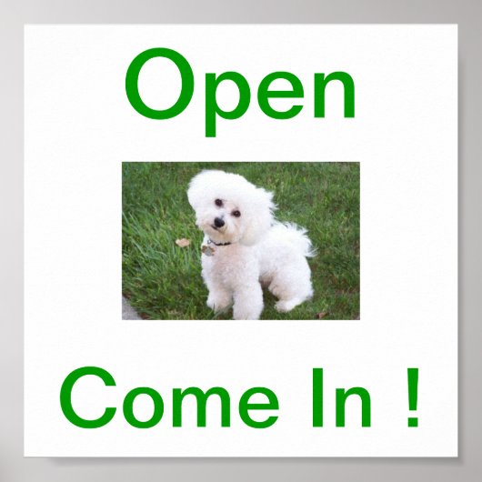Bichon Frise Dog Open Sign Poster (Voorkant)