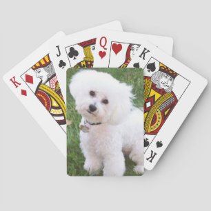 Bichon Frise Dog Playing Cards Speelkaarten
