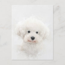 Bichon Frise Dog Portret