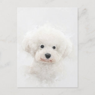 Bichon Frise Dog Portret Briefkaart