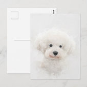 Bichon Frise Dog Portret Briefkaart (Voorkant / Achterkant)