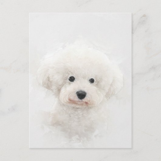 Bichon Frise Dog Portret Briefkaart (Voorkant)