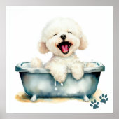 Bichon Frise Dog Poster (Voorkant)