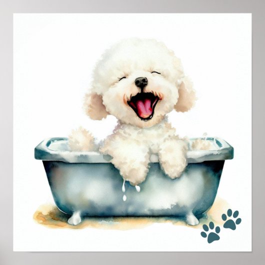 Bichon Frise Dog Poster (Voorkant)