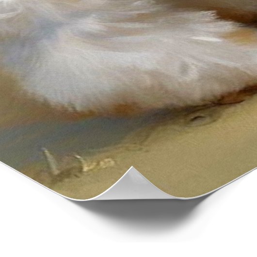 Bichon Frise Dog Poster (Hoek)