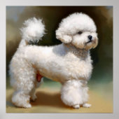 Bichon Frise Dog Poster (Voorkant)