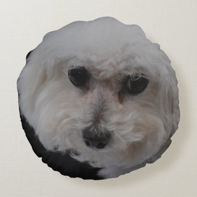 Bichon Frise Dog Rond Kussen (Achterkant)