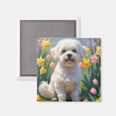 Bichon Frise Dog Spring Flowers Painting Magneet (Voorkant / Achterkant)