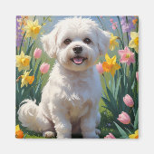 Bichon Frise Dog Spring Flowers Painting Magneet (Voorkant)