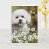 Bichon Frise Dog Thinking of You Daisies Kaart (Gele Bloem)