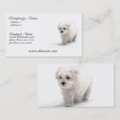 Bichon Frise Dog Visitekaartje (Voorkant / Achterkant)